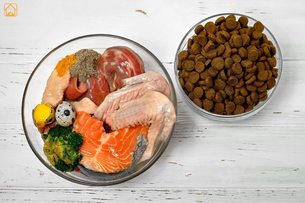 Diets and Nutrition for dogs with obesity
