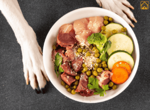 Homemade Dog Food: A Loving Choice for Your Dog’s Health