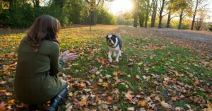 How to Teach a Dog to Come: Reliable Recall Training Tips