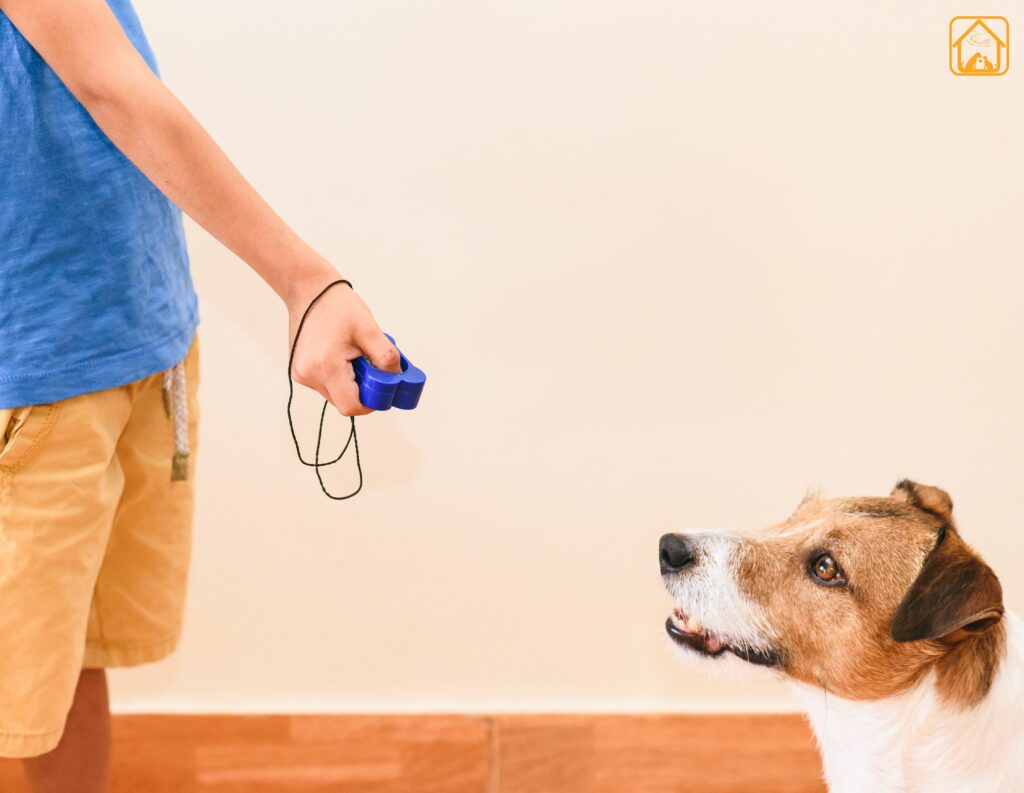 Positive Reinforcement_Obedience Training