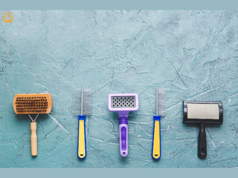 cat grooming tools