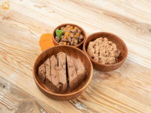 Wet Cat Food vs Dry Cat Food: Which Should You Choose?