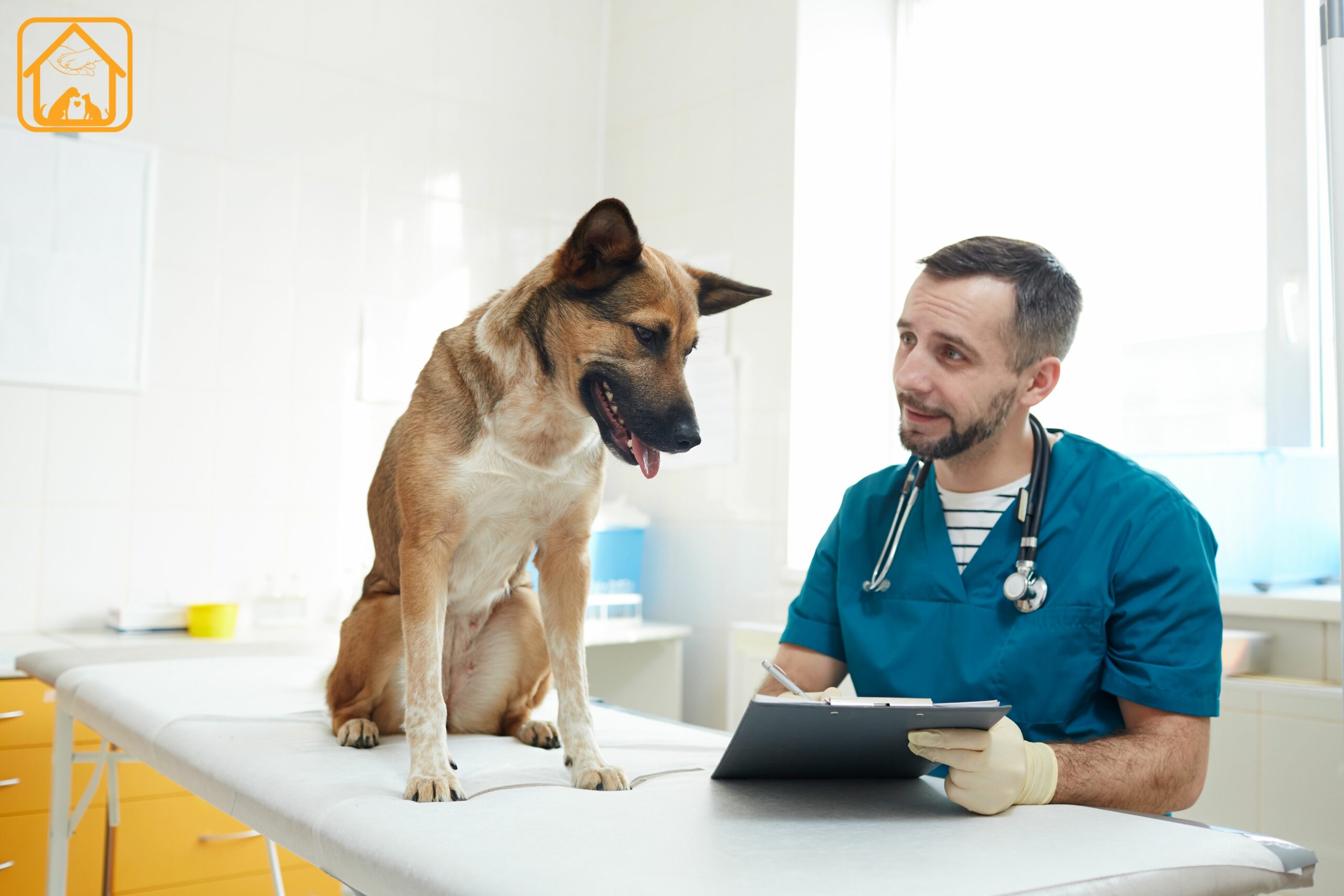 Health & Care