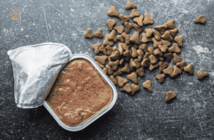 Wet vs Dry Dog Food: Which Is Best for Your Dog?