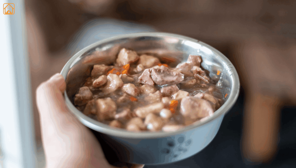 mixing wet and dry dog food